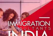 What are the benefits of hiring immigration consultant?