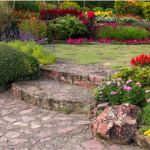 How water features can enhance your backyard