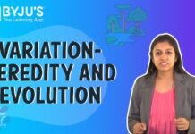 Know All About ICSE Syllabus for the Year 2022 Examination maxresdefault