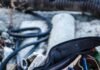 Some of the Best Decisions You Can Make About Your Home These Key Investments Will Keep You Happy and Make Your Home More Valuable tool-belt