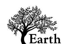 Discover Our Biodegradable Land Burial Box: Embracing Green Funeral Ceremony Unveiling the Land Burial Collection