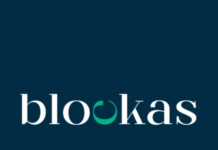 Crypto Made Easy: Blockas’ Instant Individuals Crypto Loans individuals crypto loans