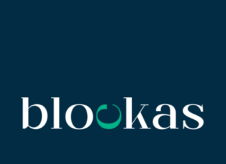 Crypto Made Easy: Blockas’ Instant Individuals Crypto Loans individuals crypto loans