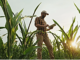 Exploring the Benefits of Bulk Organic Grains – A Sustainable Choice