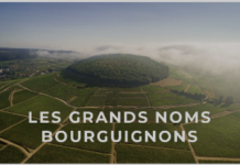 Découvrez des vins de Bourgogne d’exception avec les meilleurs vignerons de Dijon à La Cave du Chaignot vignerons locaux