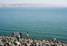 Discover the Best Israel Destinations with Private Tours by Alon Transport private tours in israel