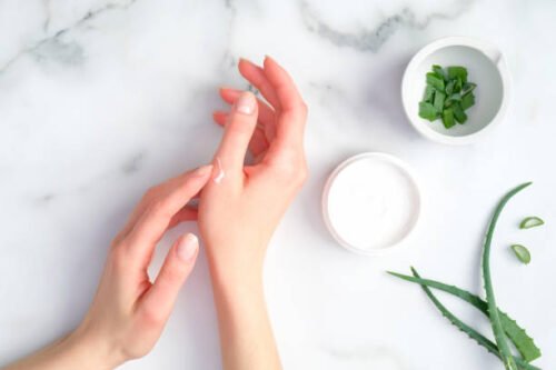 Body Lotion Aloe Vera