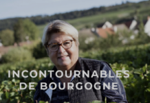 Le guide ultime pour acheter du vin dans un magasin de vin en ligne boutique de vin en ligne