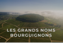 Producteurs de vins de Bourgogne à Dijon: un guide des meilleurs vins de la région de vins de Bourgogne à Dij