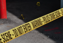 Forensic Investigation Services: Why Every Case Needs Expert Analysis forensic investigation services