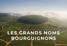 Un guide complet de la dégustation vin Dijon dégustation vin Dijon