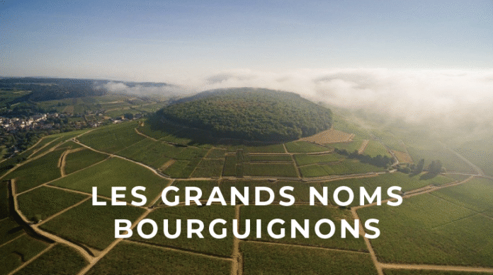 dégustation vin Dijon