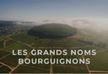 Pourquoi Dijon est le point de départ idéal pour une aventure de dégustation de vins en Bourgogne degustation des vins dijon
