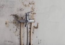 Mould Remediation Services Malaysia: Complete Guide for a Safe & Healthy Property mould remediation services malaysia