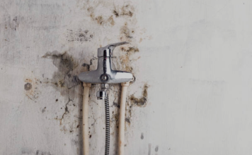 Mould Remediation Services Malaysia: Complete Guide for a Safe & Healthy Property mould remediation services malaysia