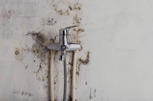 mould remediation services malaysia mould remediation services malaysia